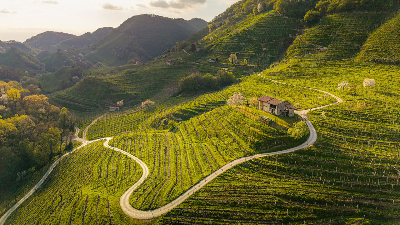 cantina-riva-granda-03