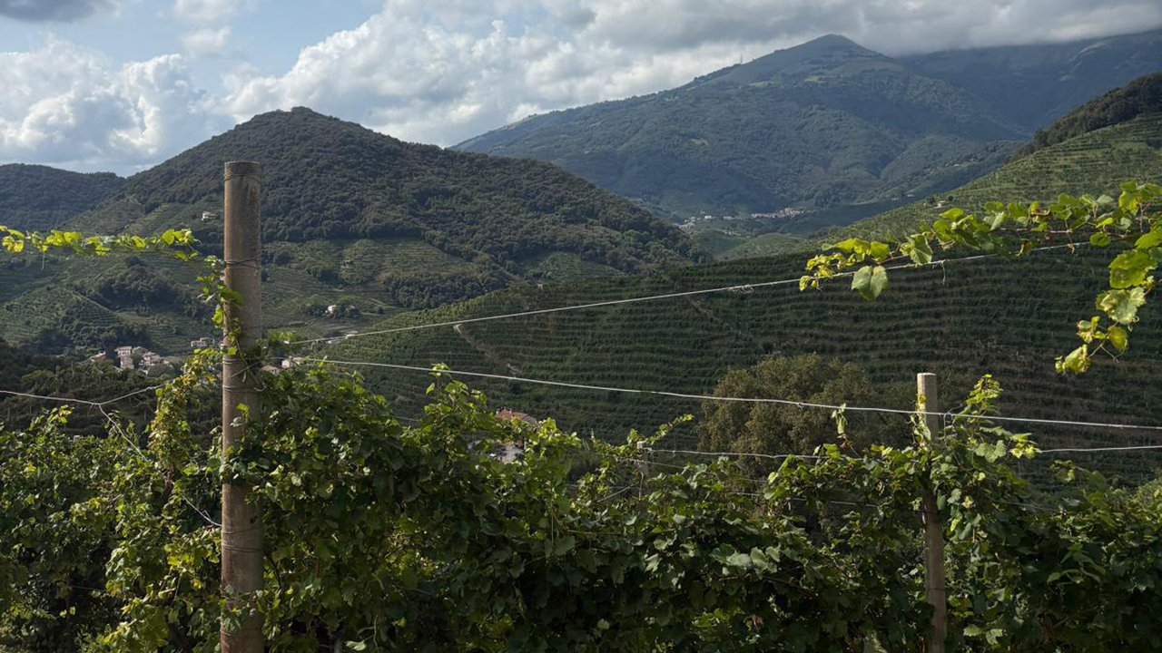 Azienda_agricola_Ferronato_Denis_01