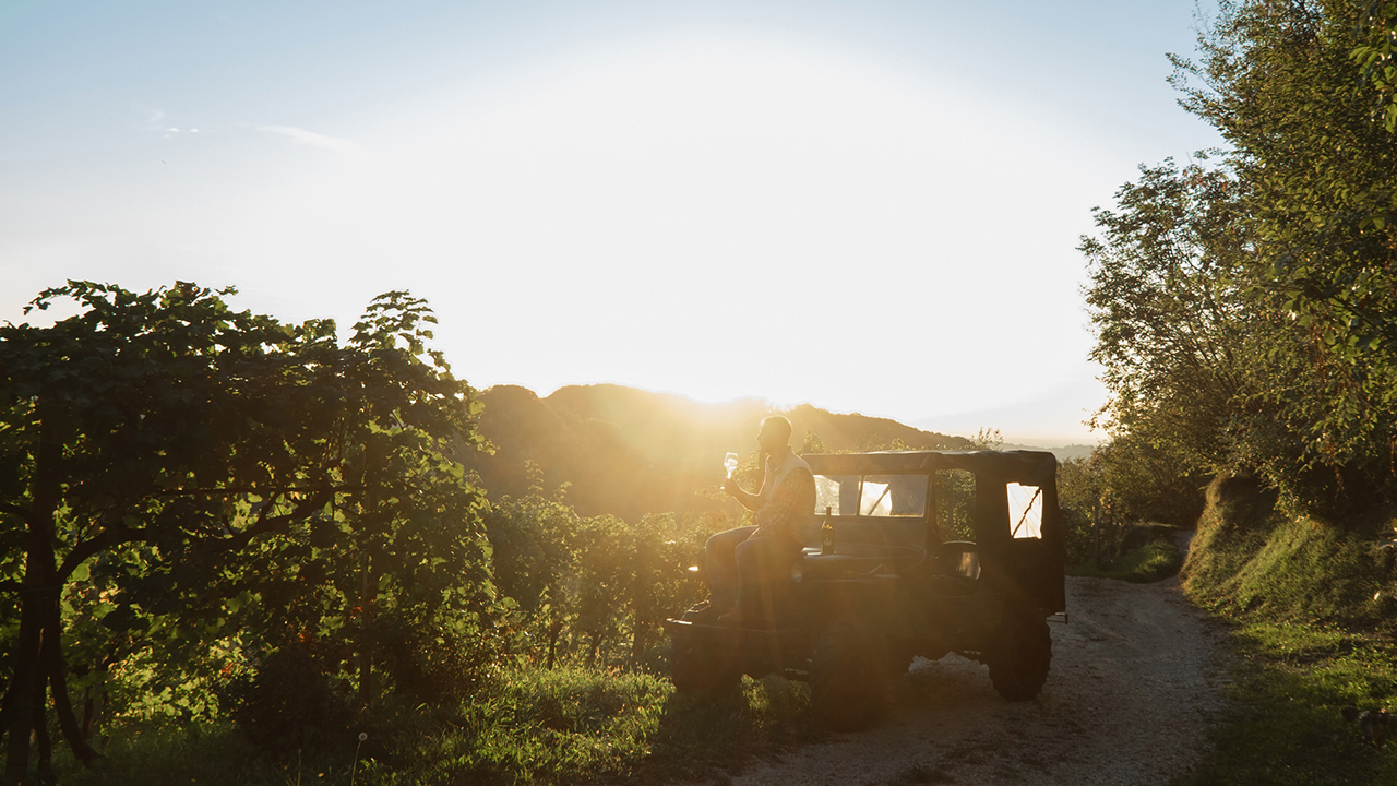 Azienda_agricola_Simoni_Diego_01