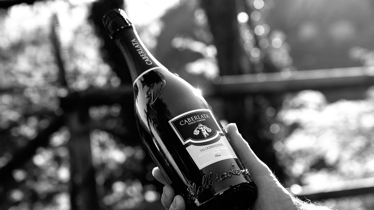 Azienda_agricola_Simoni_Diego_02