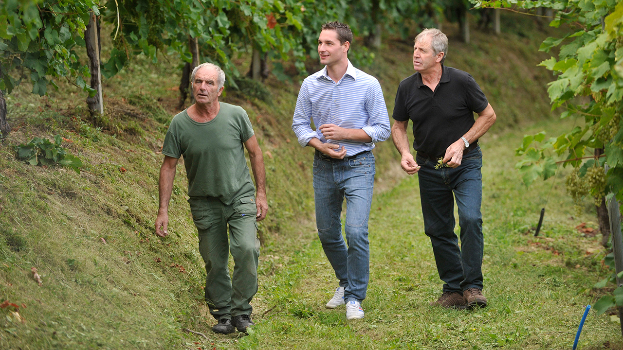 Azienda_agricola_Simoni_Diego_03